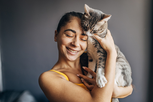 A young beautiful smiling woman holds a cat in her hands