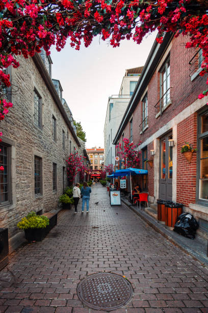 stary montreal - vieux montréal zdjęcia i obrazy z banku zdjęć