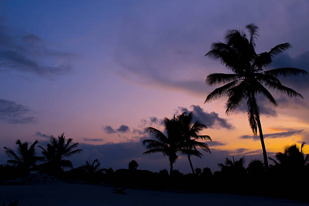 istock Mexican Sunset at the Beach 158377962