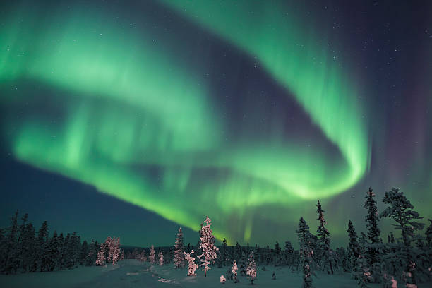 aurora polare artico - snow nature sweden cold foto e immagini stock