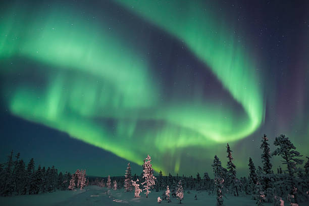 арктический aurora - snow nature sweden cold стоковые фото и изображения