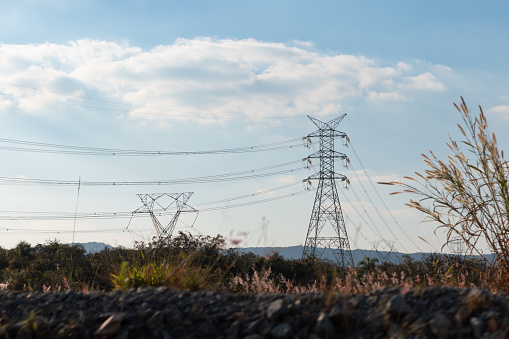 Photograph of electric power transmission towers with vegetation around, in the late afternoon.