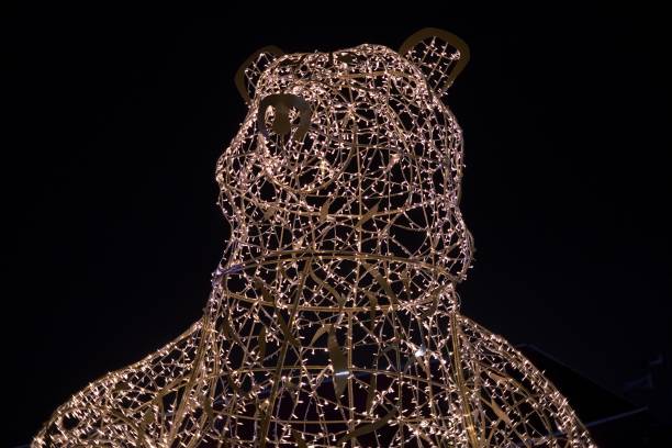 All the tiny lights makes the big bear