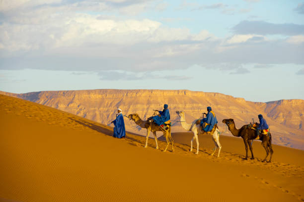 istock Camel Caravan in the Sahara Desert 158392467