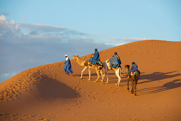 Carovana di cammelli nel deserto del Sahara - foto stock