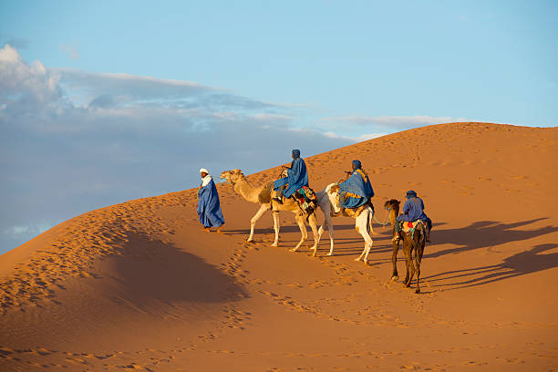 Camel Caravan in the Sahara Desert stock photo