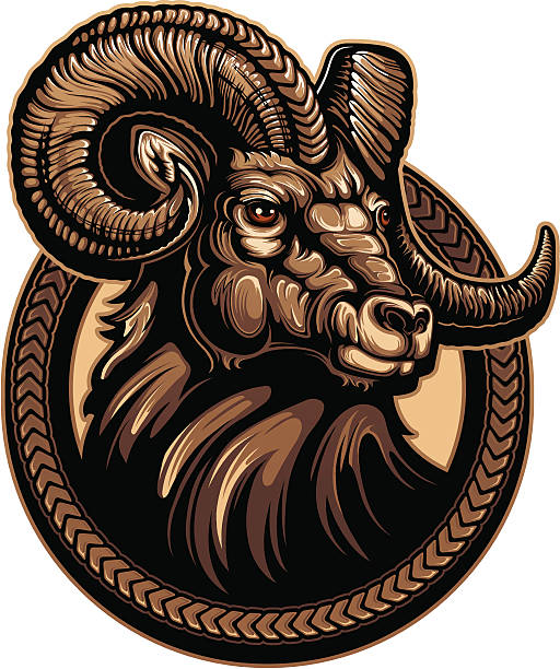 illustrations, cliparts, dessins animés et icônes de bighorn ram - bighorn sheep ram sheep horned