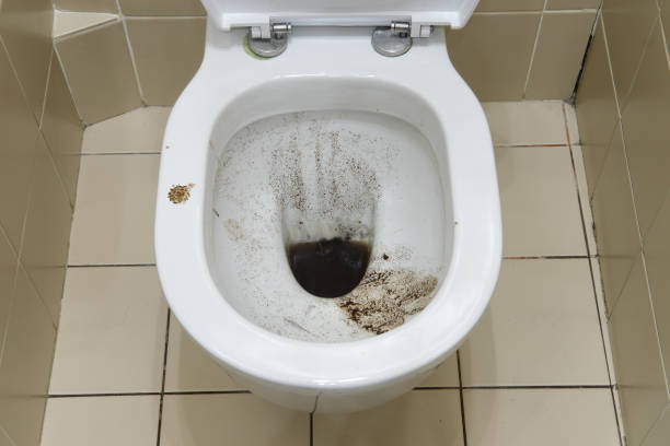 istock The bathroom had a clogged drain that required immediate attention. Without proper unclogging, the dirty water could overflow and create a health hazard 1583959215