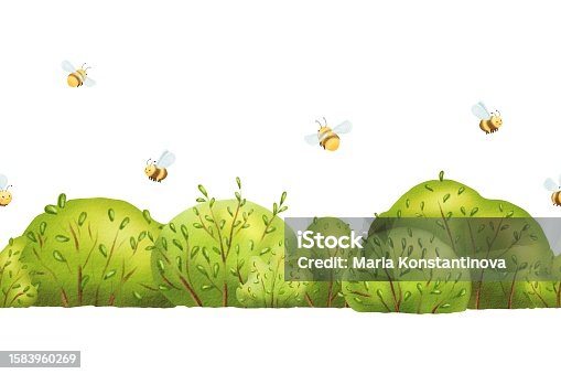 istock Seamless border of green shrubs and bees under the warm summer sun. Cartoon elements with spring leaves. watercolor illustrations Foliage, Children textile, fabric, wrapping. Ornamental plant shrub 1583960269