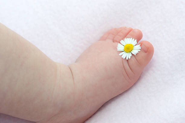 istock Baby Feet Holding Daisy with copyspace 158396608