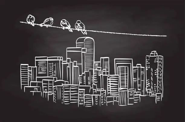 Vector illustration of Cityscape Sparrow Blackboard
