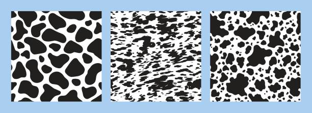 Cow print seamless pattern. Black and white animal print, collection of repeat designs. Cow print seamless pattern. Black and white animal print, collection of repeat designs. cowhide stock illustrations