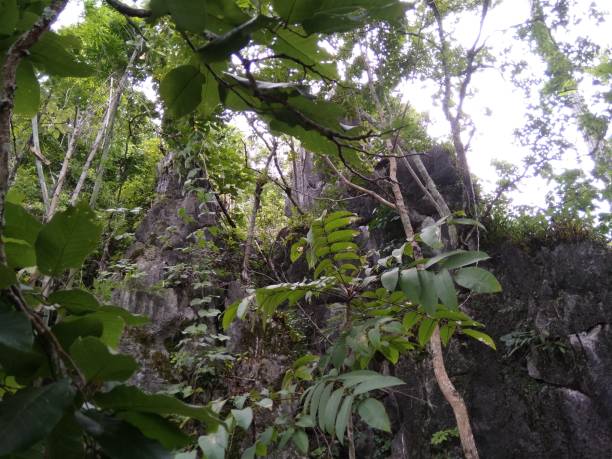 istock Megaliths stones rocks shapes 1584001202