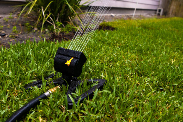 istock Sprinkler watering lawn 1584021778