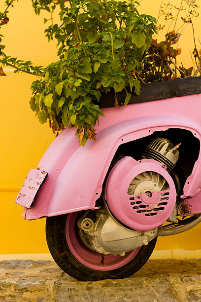 Pink Moped Bike with Plant