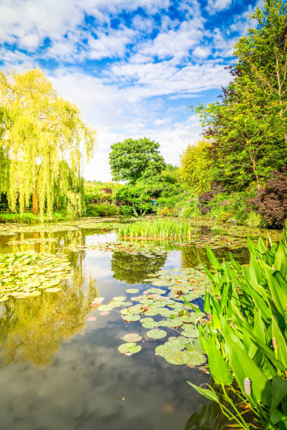 istock Pond with lilies in Giverny 1584061951