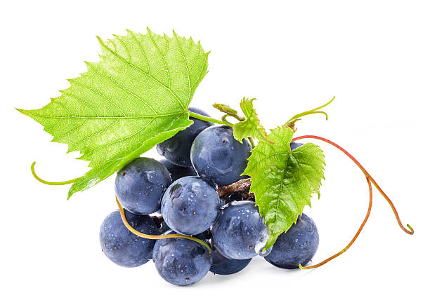 A pile of grapes with green leaves