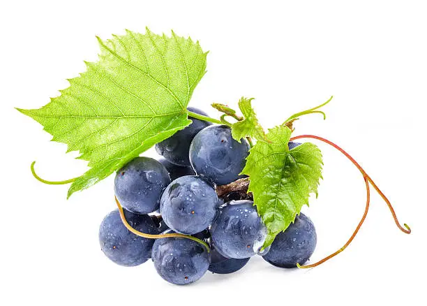 Grapes isolated on white background, with clipping path