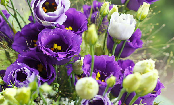 istock Close-up bouquet of violet flowers 158414014