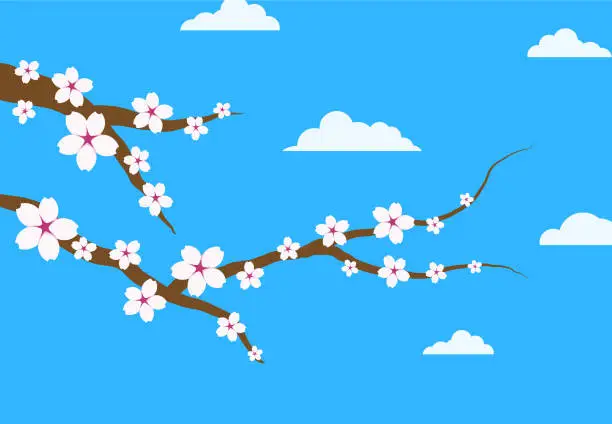 Vector illustration of Sakura
