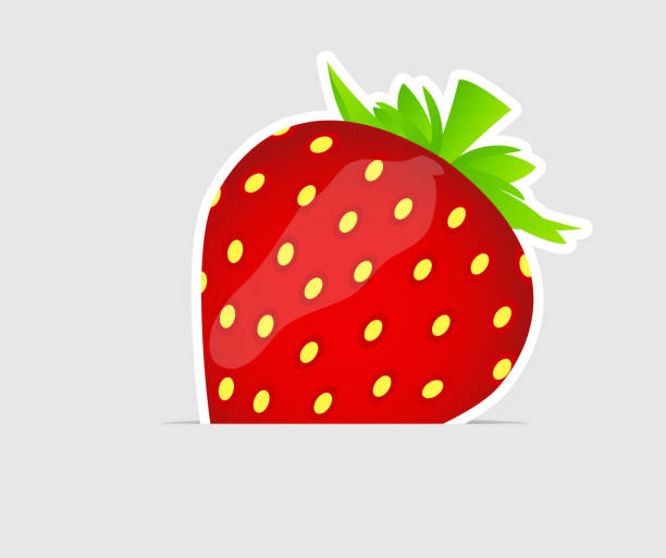 süße leckere erdbeeren vektor-illustration - vibrant color part of full studio shot stock-grafiken, -clipart, -cartoons und -symbole