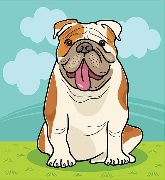 英語ブルドッグ犬の漫画イラストレーション - english bulldog点のイラスト素材／クリップアート素材／マンガ素材／アイコン素材