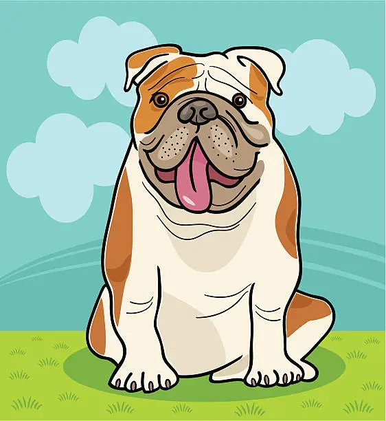 Vector illustration of english bulldog dog cartoon illustration