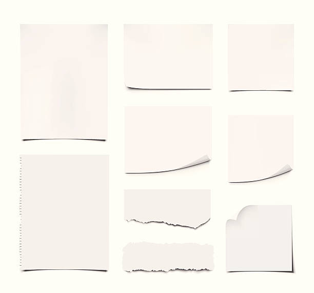 Blank Notes and Papers Set of Blank Notes and Papers on white background. curled up stock illustrations