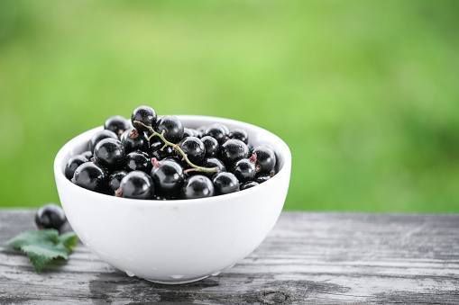 White bowl with fresh black currant at summer garden blurred background. Copy space for text