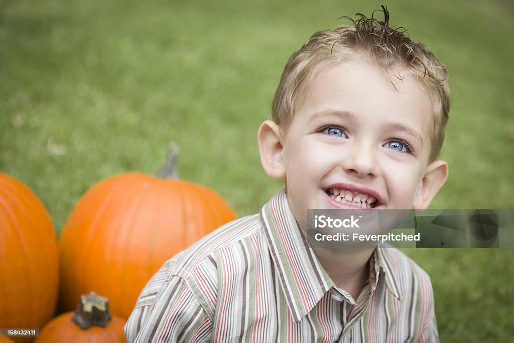 Cute Young Child Boy Enjoying the Pumpkin Patch. Adorable Young Child Boy Enjoying the Pumpkins at the Pumpkin Patch. Adolescence Stock Photo