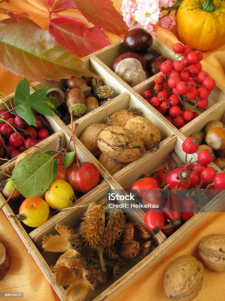 Raccolta scatola con noci, marroni e altra frutta autunnale - Foto stock royalty-free di Autunno