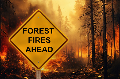 Forest Fires Ahead Warning Sign