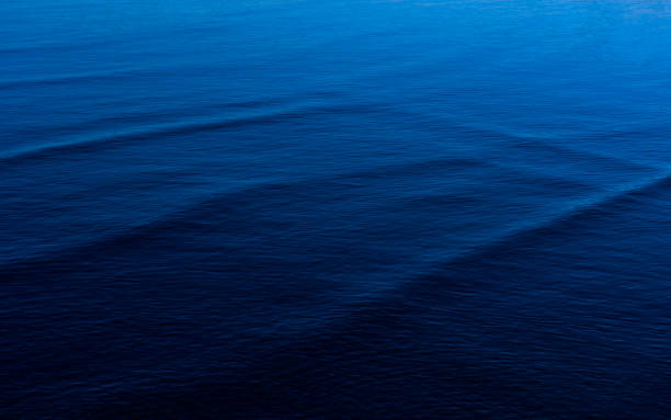 istock Pale moonlight reflected on the surface of the sea 1584371571
