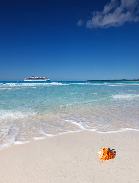 Medium cruise ship on the horizon seen from beach