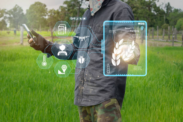 istock Farmers are using smartphones to scan rice plants using modern technology. How to check using technology to help in agriculture 1584425240