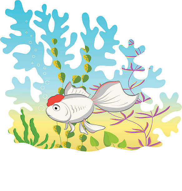 My Goldfish vector art illustration