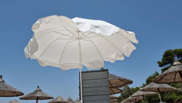 istock ubrella for sea and beach sun rpotection isolated cloth and straw 1584433688