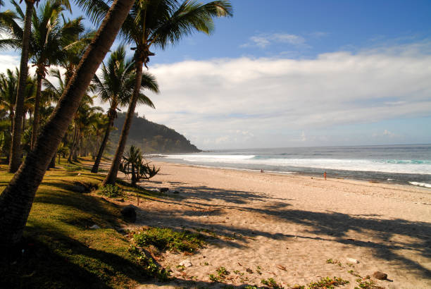 istock Grande Anse beach, La Reunion island 1584463421