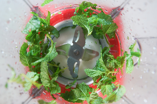 pepper mint leaf in the food processor view from above