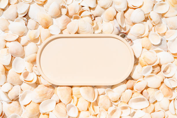 istock Summer cosmetics product presentation scene made with beige plate on seashells background. 1584476165