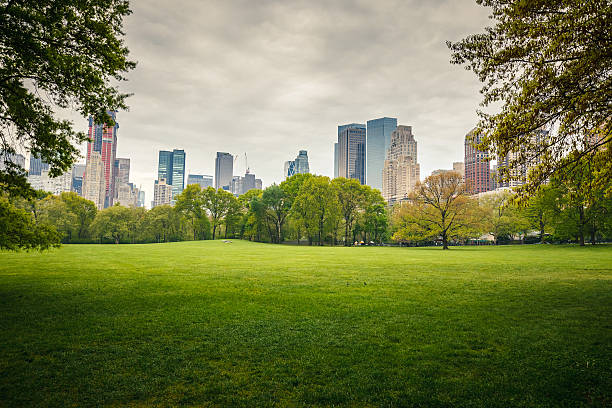 central park em dia de chuva - overcast day new york city manhattan - fotografias e filmes do acervo