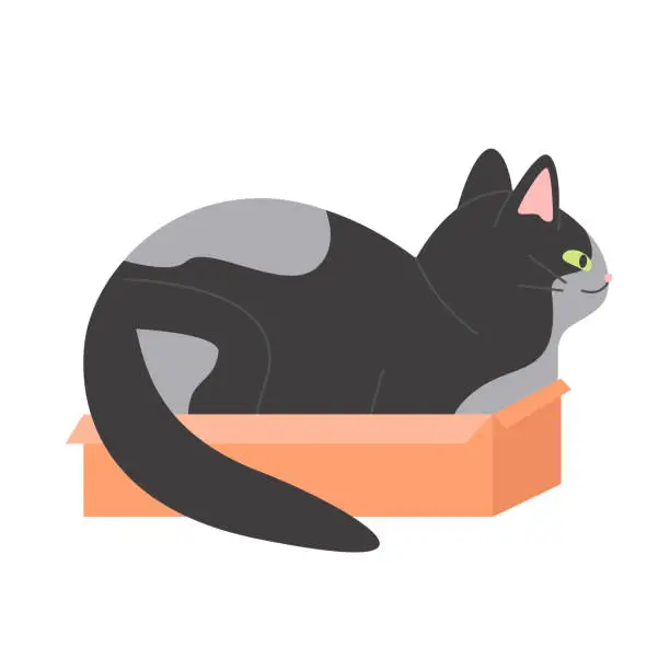 Vector illustration of Funny cat sitting in carton box