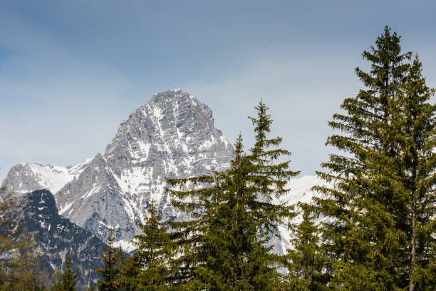 istock pine trees and snowy mountain with blue sky in austria 1584503181