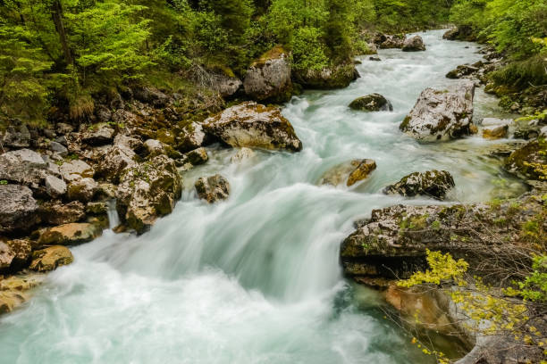 istock rocks in a fast flowing torrent during hiking in upper austria 1584503540