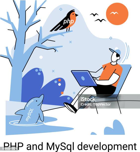 Php And Mysql Development Software Website Developer Programmer Service ...