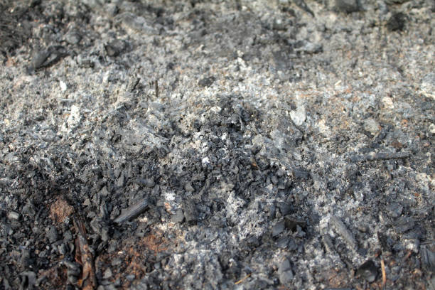 istock background after the burnt ashes of reeds 1584509638