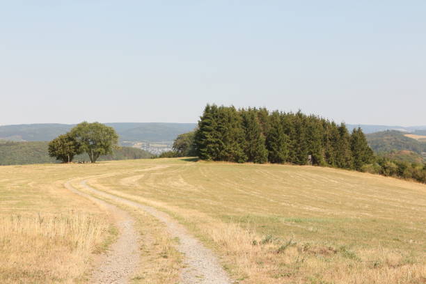 istock Impressions from the Sauerland 1584510707