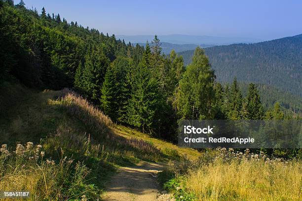 Carretera En Las Montañas Foto de stock y más banco de imágenes de Aire libre - Aire libre, Belleza de la naturaleza, Bosque