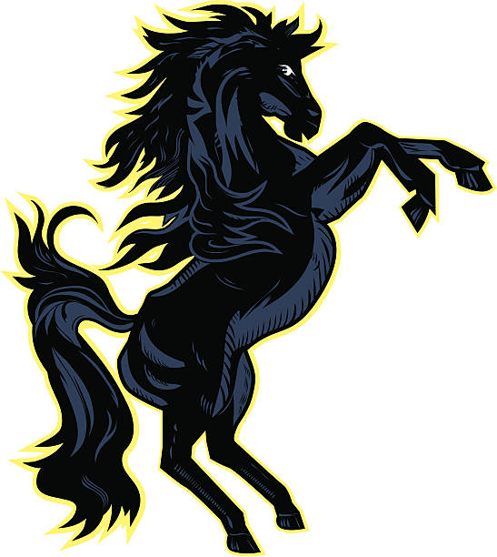 kuvapankkikuvitukset aiheesta musta hevonen - rodeoratsastus