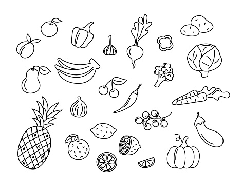 Fruits and vegetables vector doodles set. Raw food elements isolated black on white background. Hand drawn outline illustration of pineapple, bananas, pumpkin and carrots. Hand drawn cute doodle drawings.